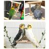 Wood Bird Mirror With Perch Stand Bird Toy Stand Bird Toy For Parrot Parakeets Cockatiels Cage Cage Parakeet Accessories