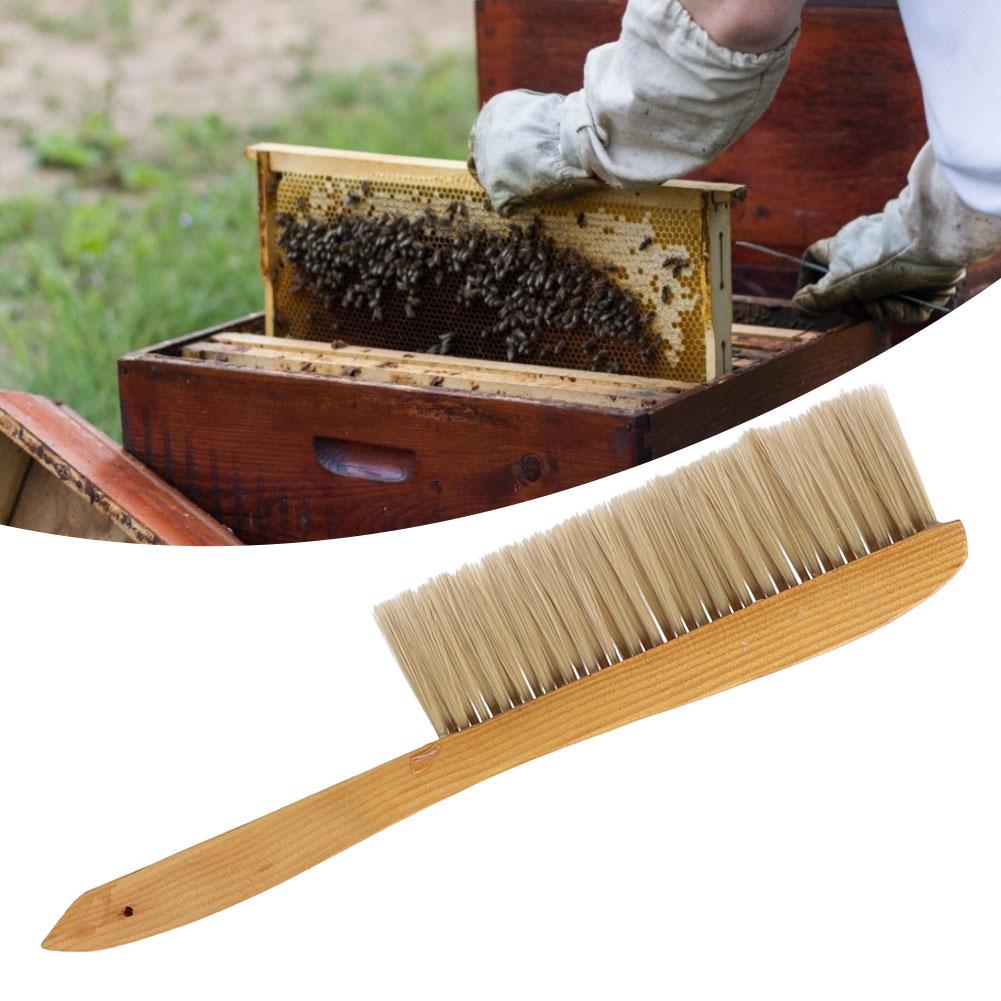 Bee Brush, Double Row of   Handle, Beekeeping Supplies, Bee Tools, Beekeeping Equipment, Wooden Bee Brush, Beekeeping Tool
