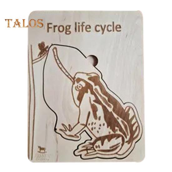 Holzpuzzle Lebenszyklus, mehrschichtiges Tier-Insekten-Pflanzenwachstums-Puzzle, Vorschul-Lernpuzzle, Spielzeug für Kinder, Jungen und Mädchen