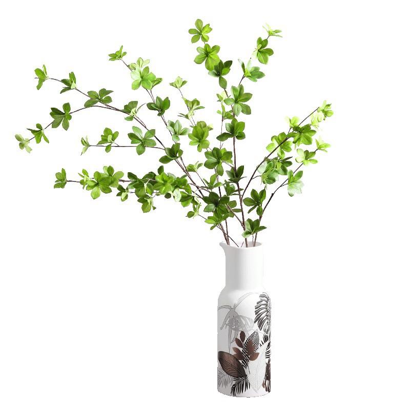 Ins Elegante Stile Giapponese Trasparente Vetro Grande Vaso Bel Ornamento Composizione Floreale Soggiorno Sala da Pranzo Piano di Lavoro Idroponico Decorazione Floreale Nordico