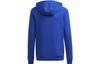 adidas Originals Sweatshirt ADICOLOR Kids' H14154
