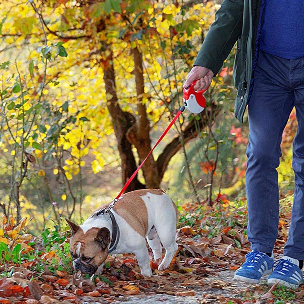 Ferplast Amigo Cord Lead, Gray, for Small and Medium Dogs, Size M, 5m