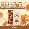 NORM Soy Protein, Salted Caramel Flavor, 600g, 100% Plant-Based Soy Protein, Amino Acid Score 100, Low Fat, High Protein, No Artificial Sweeteners, Ma