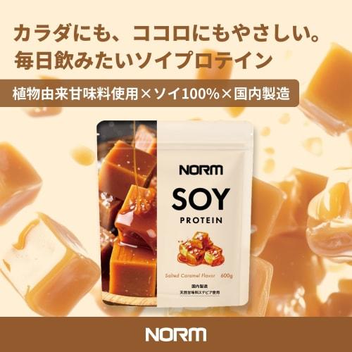 NORM Soy Protein, Salted Caramel Flavor, 600g, 100% Plant-Based Soy Protein, Amino Acid Score 100, Low Fat, High Protein, No Artificial Sweeteners, Ma