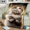 Süße Calico-Katze, Garfield-Katze, Perserkatze, Ragdoll-Cartoon-Decke, weiche Überwurfdecke für Zuhause, Schlafzimmer, Bett, Sofabezug, Decke für Kinder