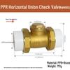 Copper Horizontal Bathroom Double Backflow One-Way Check Valve, Household Water Pipe Fittings, Non-Return Valve, 4/6 inch (DN20/25).