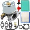 Carburador Briggs & Stratton 625 650 675 799866 796707 794304 Kit con Junta de Repuesto