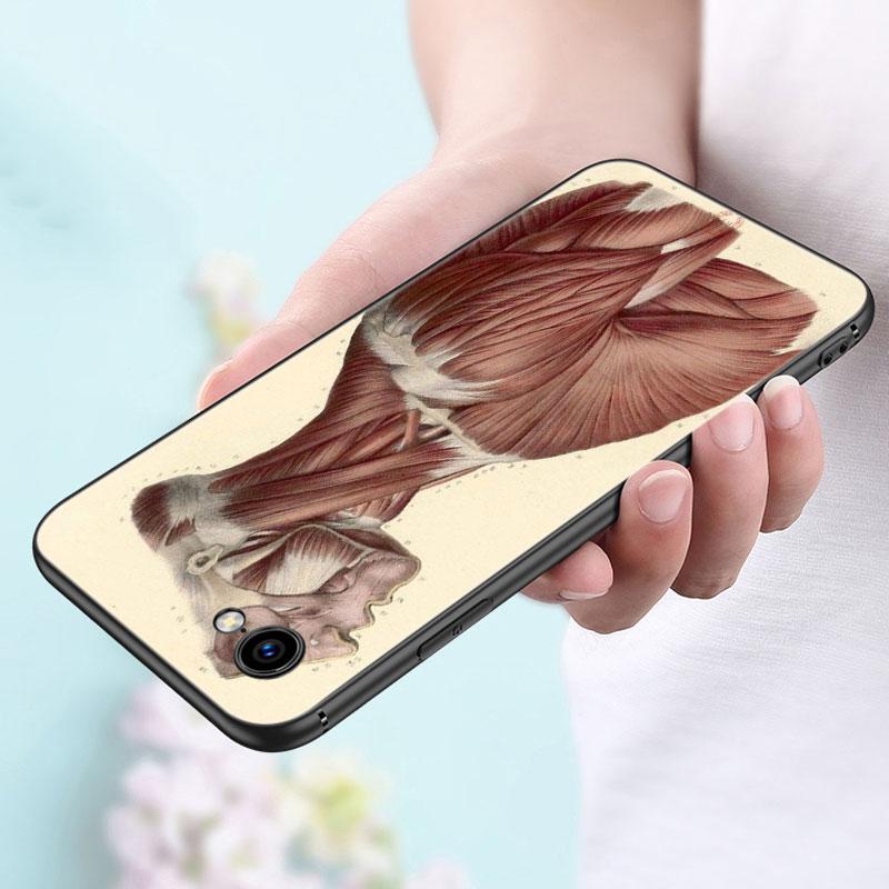 Medizinische Menschliche Organe Gehirn Meridian Niere Hohe Fall Für Apple iPhone 14 13 12 Mini 11 Pro Max 7 8 XR X XS 7 8 Plus SE 2020 2022