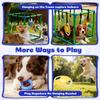 Parc d'activités pour chiots avec 8 jouets suspendus Parc d'attractions Jungle pour petits chiens Cadre en PVC Parc pour chiens pour jouer et se divertir