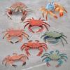 Simulation Animal Model Vivid Intelligence Development Solid Aquarium Miniature Crab Cognition
