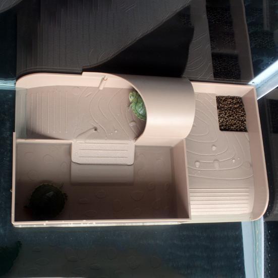 Schildkröten-Aalplattform mit Futtertrog, Kletterleiter, Unterschlupfhaus, Schildkrötenrampe, Reptilienhaustierspiel- und Ruheterrasse, Aquariumzubehör