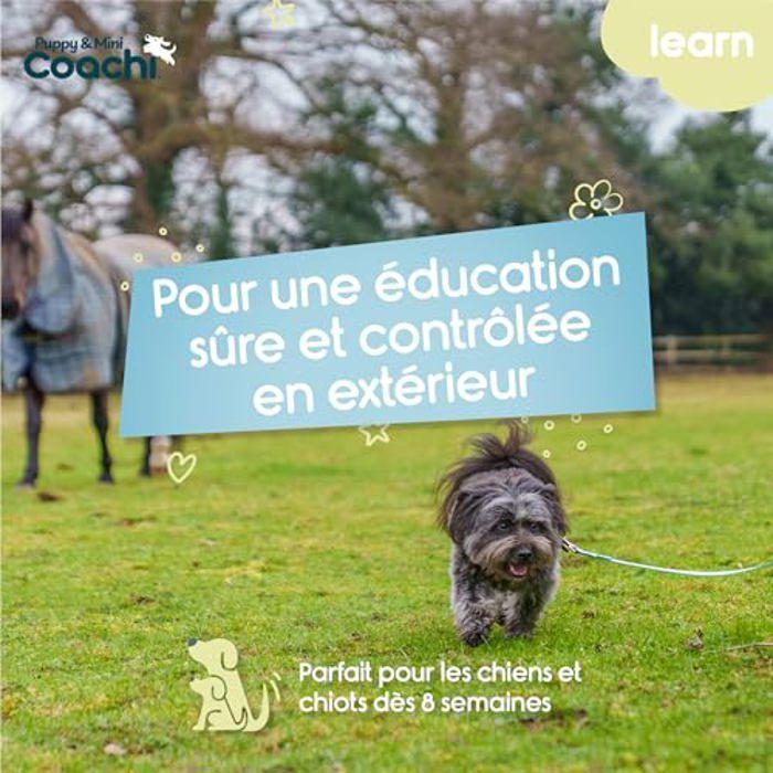 Laisse d'éducation - Coach - 5m - Imperméable - Bicolore - Pour chiens moyens
