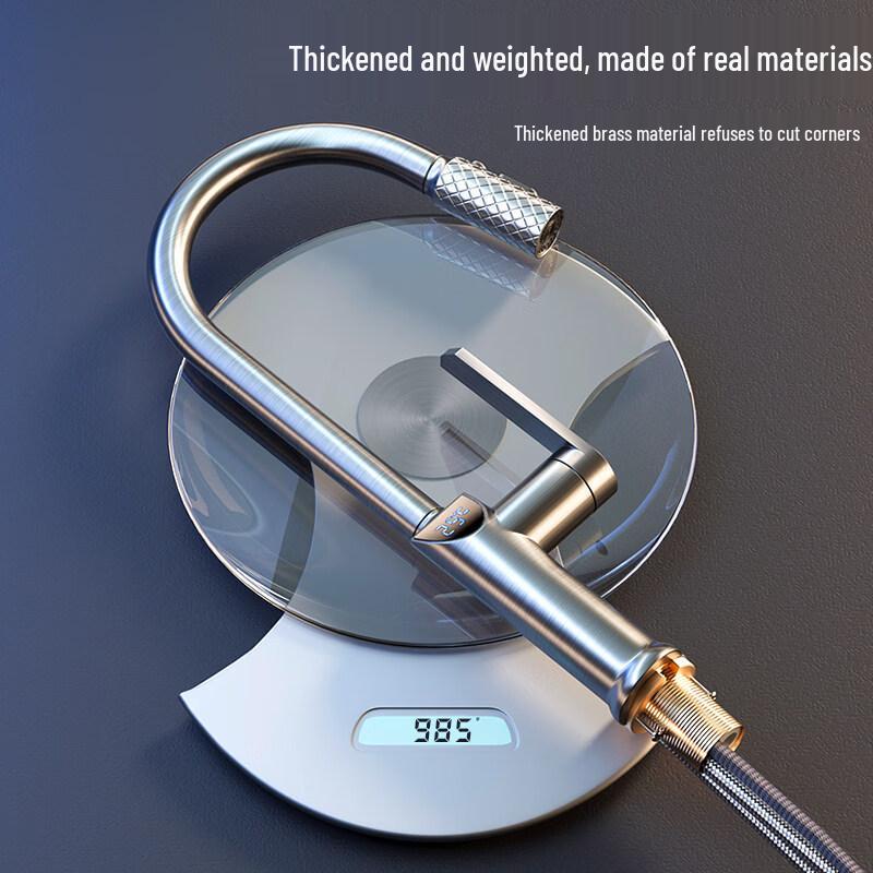 Tai Ju Fu Luxury Digital Display Pull-Out Kitchen Faucet