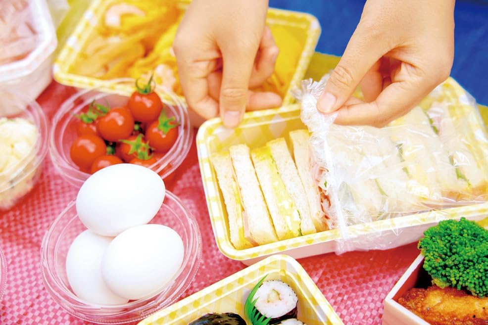 HINICHIJOU Emballage alimentaire Emballage antibactérien pour la prévention des catastrophes (20 morceaux) (20)
