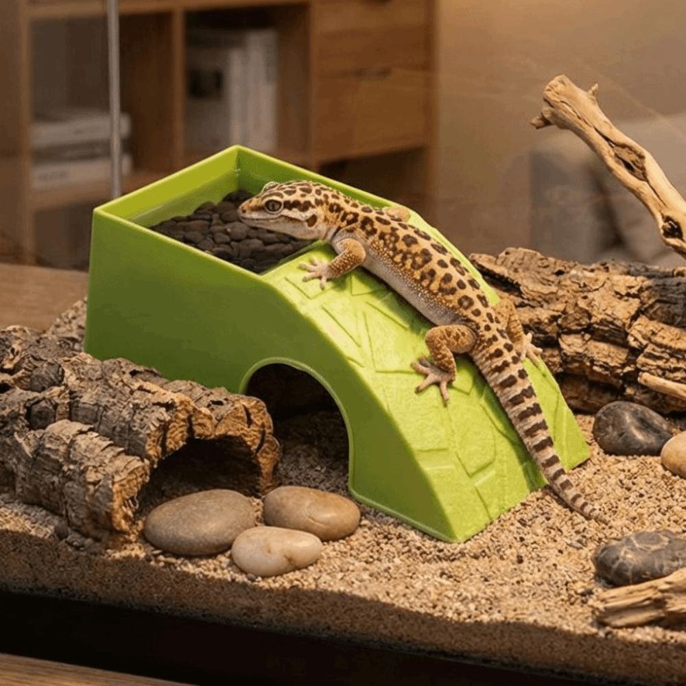 With Moss Tray Reptile Hideout Cave Anti Drowning Water Dispenser Reptile Feeding Box  Pet Breeding