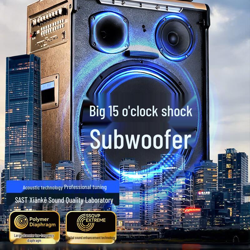 SAST SA-258plus Portable Karaoke Speaker with Display CN Plug (adapter Included)