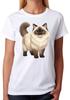Cute Ragdoll Cat Illustration Ladies T-Shirt Cat Lover Animal Art Tee