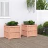 VidaXL Planters 2 Pcs Solid Douglas Wood 837431