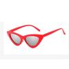 Luxury Brand Designer Sunglasses Women Fashion Cat Eye Retro Sun Glasses Small Frame Ladies Sunglass Outdoor Eyewear UV400