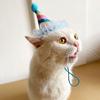Pet Hat Soft Comfortable Adjustable Cat Dog Birthday Hat Pet Costume Accessories for Festivals Party Supplies