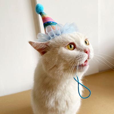 Haustierhut, weich, bequem, verstellbar, Katze, Hund, Geburtstagshut, Haustierkostüm-Zubehör für Festivals, Partyzubehör