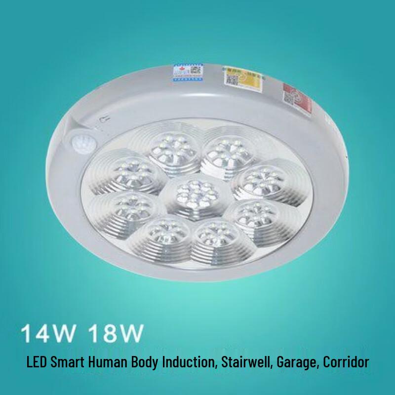Abay Fire Emergency Motion Sensor Ceiling Light
