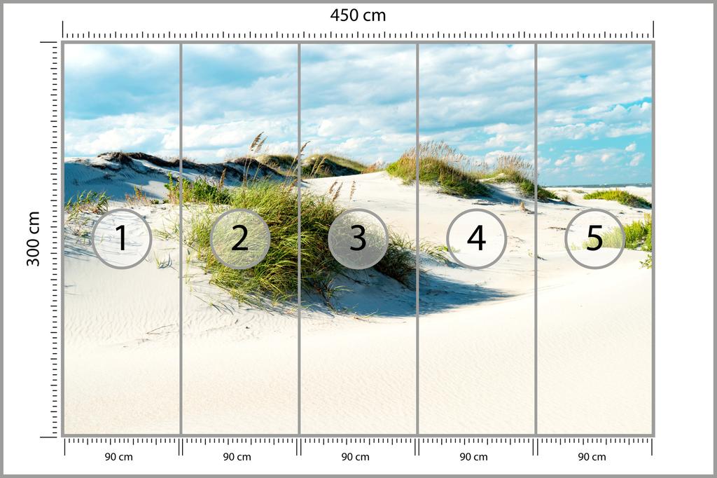 Photomural Afternoon In The Dunes Iq-1208-A Washable Fleece 450x300