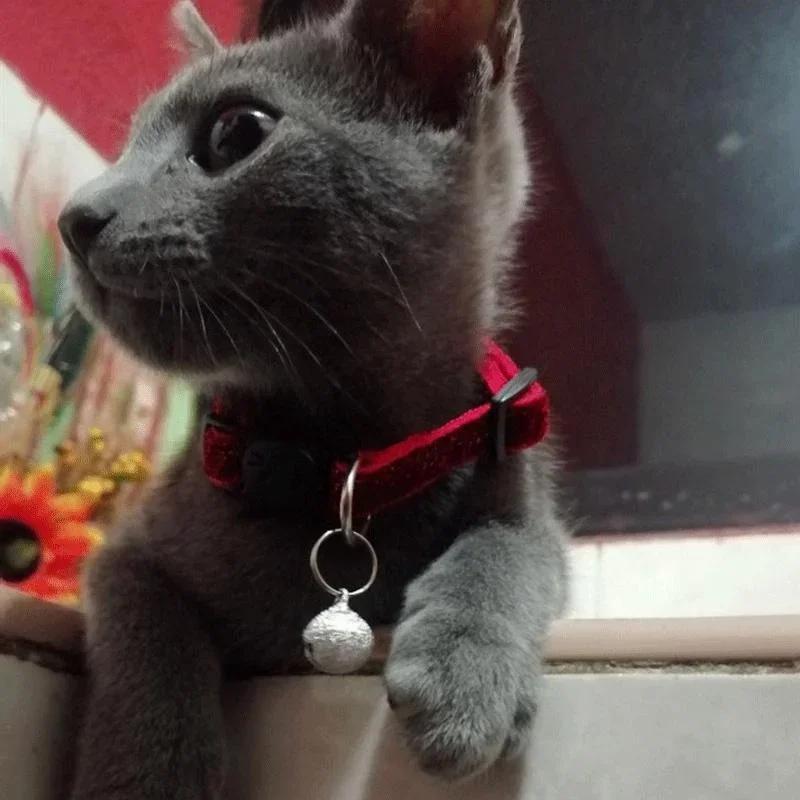Cat Collar Pet Cat Collar with Bell Cat Face Collar Safety Buckle Cat Collar Glitter Velvet Collar