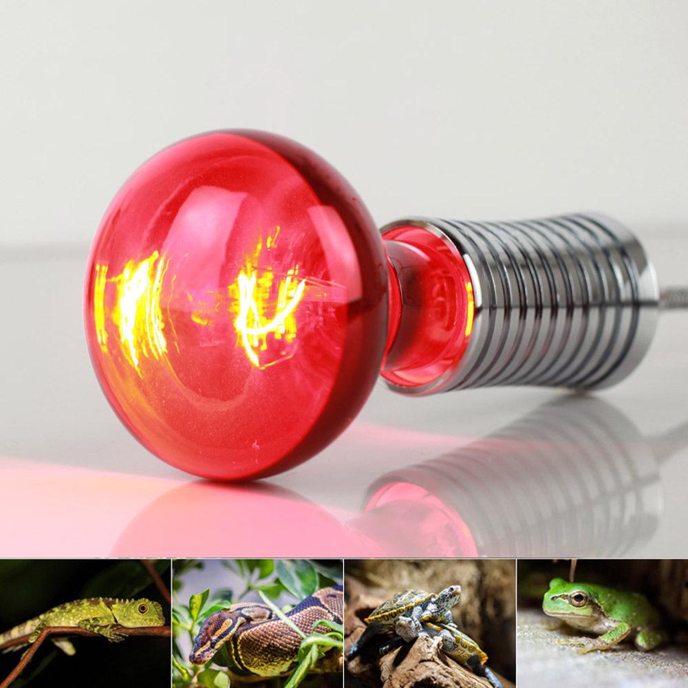 Infrared Neodymium Heating Bulb: 30W/40W/60W/100W/150W, Black, R63/R80/R95