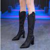 Brand Shoes Brown But Knee High Heel Boots Women's 2025 Autumn and Winter Pointed Thick Heel Rear Zipper Fashion Long Tube Boots
