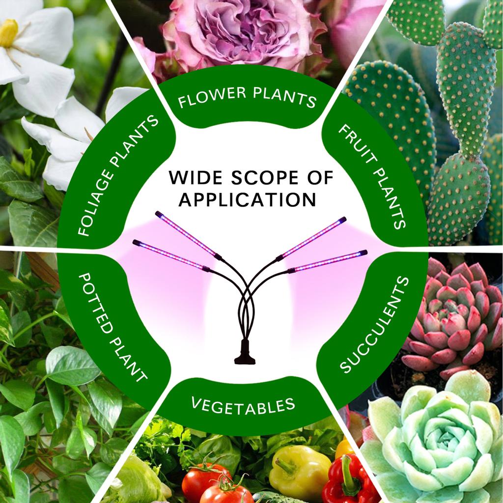 40W 80LEDs Grow Light with Blue Red Light Bulbs 4/8/12H Timer 9 Brightness Leves for Indoor Plant