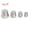 Stainless Steel External Hex Threaded Plug