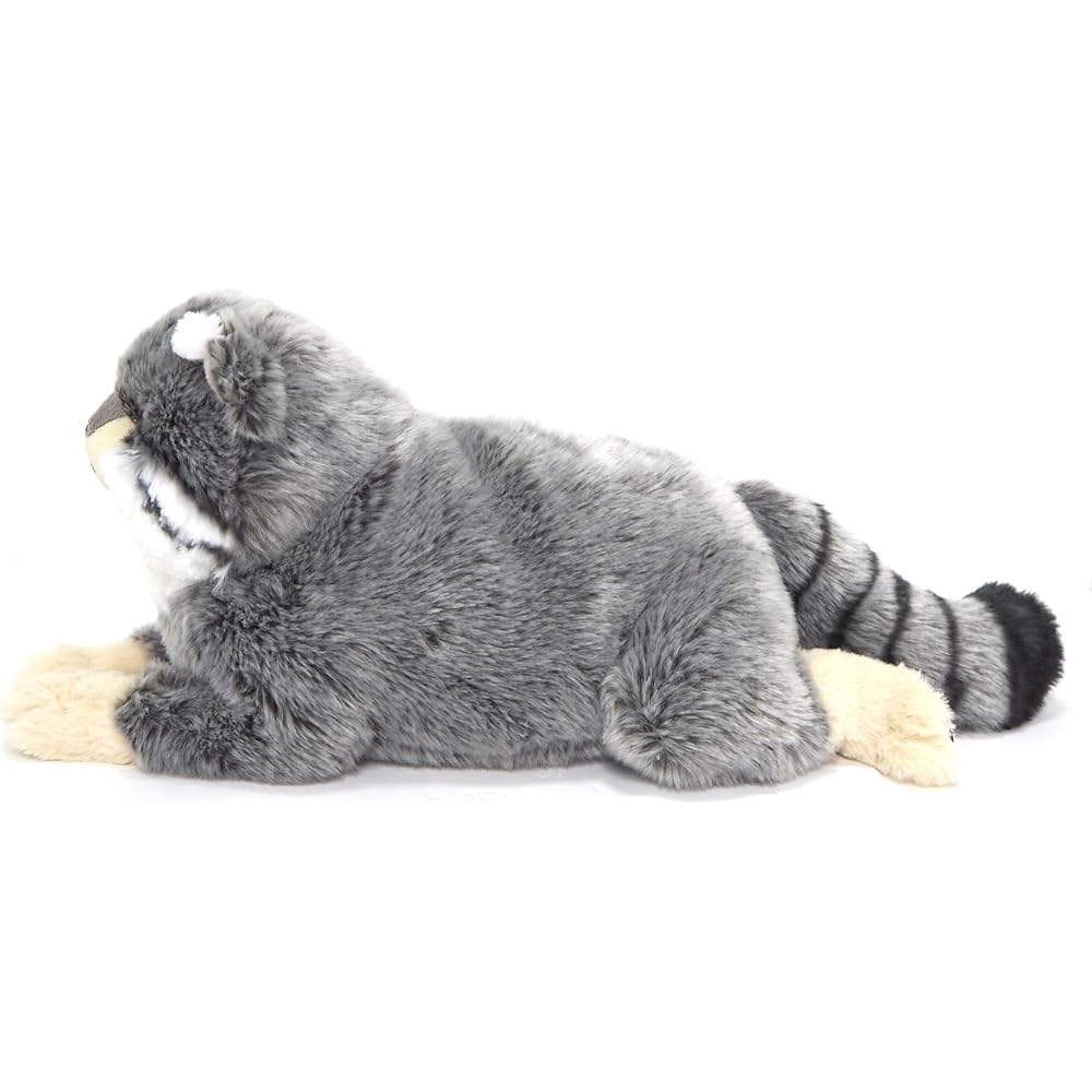 SunLemon Pallas's Cat, Small, 19 x 41 x 16 cm, Plush Toy, Cute Animal, Cat, P-8422