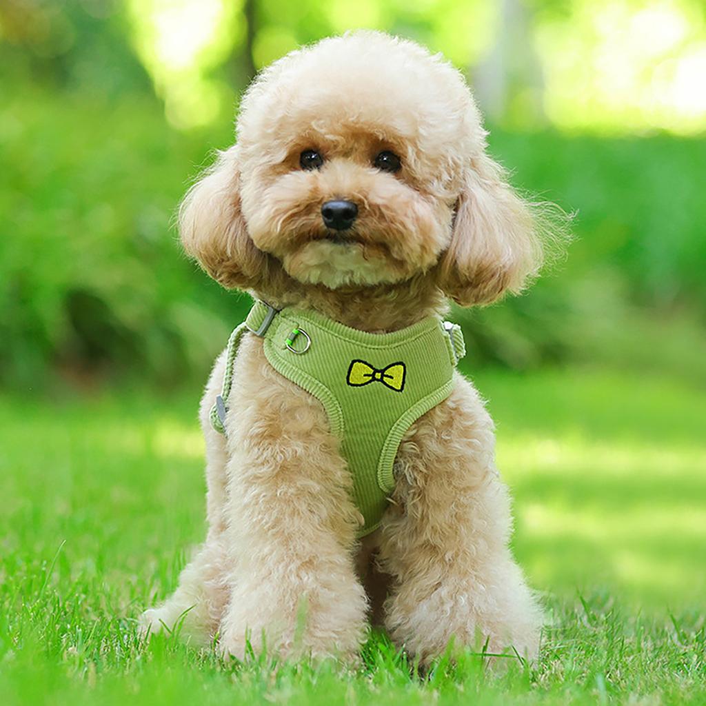 Reflective Dog-Harness With Leash Breathable Adjustable Nylon Pet-Harness Accesorios For Chihuahua Small Large Dog-Harness Vest