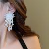 Silver Needle Acrylic Bead Tassel Earrings - Fashionable High-End Stud Earrings for Women