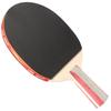 Raquette de Tennis de Table Double Bonheur 1 Étoile Porte-plume