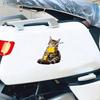 Car Stickers Waterproof Scratch Cover Cute Cat Shape Car Decals for Fuel Tanks Body Parts Electric Vehicles Peelable No Residue Sunproof Car Sticker