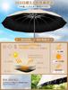 Paraguas Plegable Inverso de 12 Varillas Reforzado Obra Maestra con Cierre Inverso Súper Impermeable Plegable Extra Adecuado para Temporada de Sol y Lluvia Tifón UV