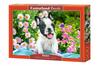 Puzzle 500 pieces B-53650 French Bulldog Puppy