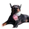 PH Dog Toy Ball Oral Cleansing Stress Relief for Dogs