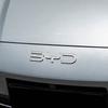 Car Front Hood Bonnet Rear Trunk Emblem Cover Sticker Auto Styling For BYD Atto Yuan Plus Song Plus Seal Seagull Dolphin Sealion