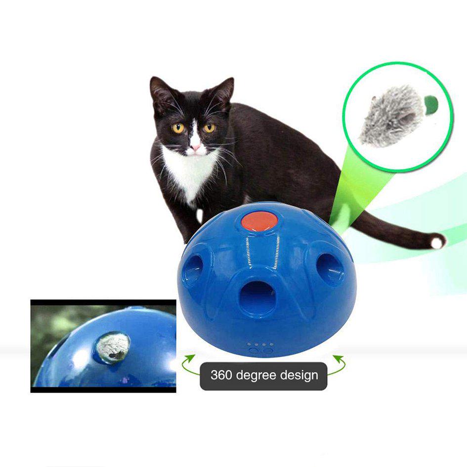 pounce interactive cat toy
