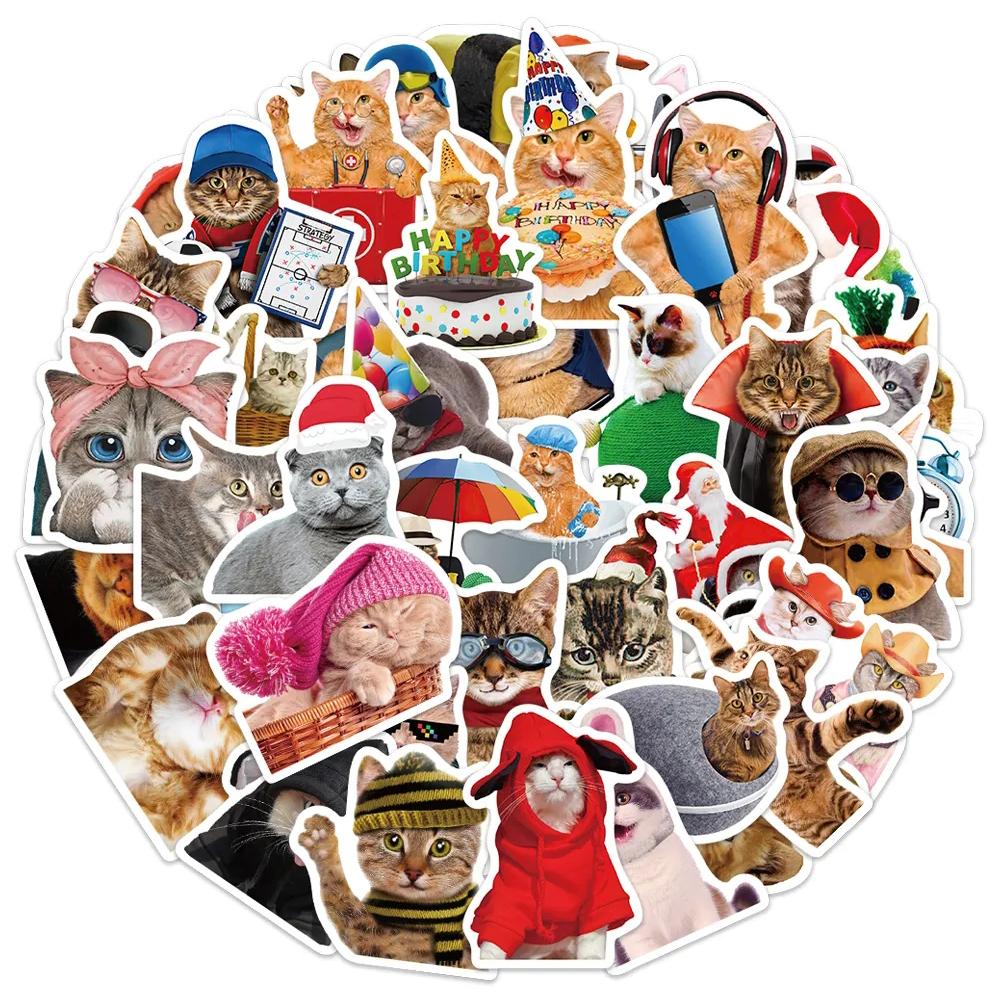 10/30/50pcs Funny Animal Cat Meme Graffiti Stickers Cute Kitten Decals Waterproof DIY Scrapbook Phone Laptop Bike Sticker Decor