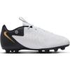 Nike Phantom GX 2 Academy Synthetic Leather Comfortable Versatile Non-Slip Durable Low-Top Youth Soccer Shoes Kids Sneaker White Black FJ2602-100