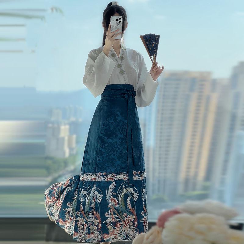 Chinese Ming Dynasty Style Hanfu Women's Stand Collar Daily Print horse-face  Skirt