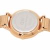 Daniel Wellington Petite 28mm Unisex Quartz Watch for Men and Women, Rose Gold (DW00600219)