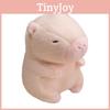Toys Plush Capybara That Emit Light Childrens Cartoon Animal Toys Gifts Holiday