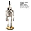 Halloween Swingy Skeleton Ornament Creepy Tree Swing Ghost Wooden Table Sign with Base Home Office Desktop Party Decoration