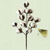 50cm Cotton Stems Decoration 12 Cotton Bolls Cotton Stalks Branch for Home Decor Wedding Centerpiece Farmhouse Decoration