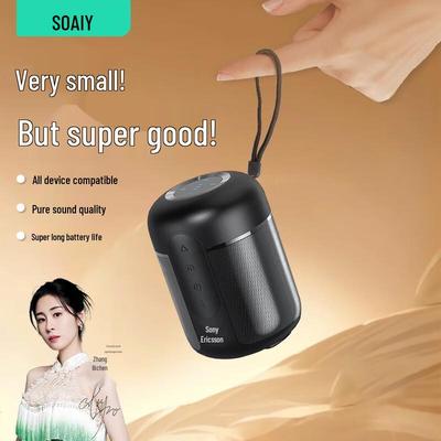 Soaiy Portable Bluetooth Speaker CN Plug (adapter Included)